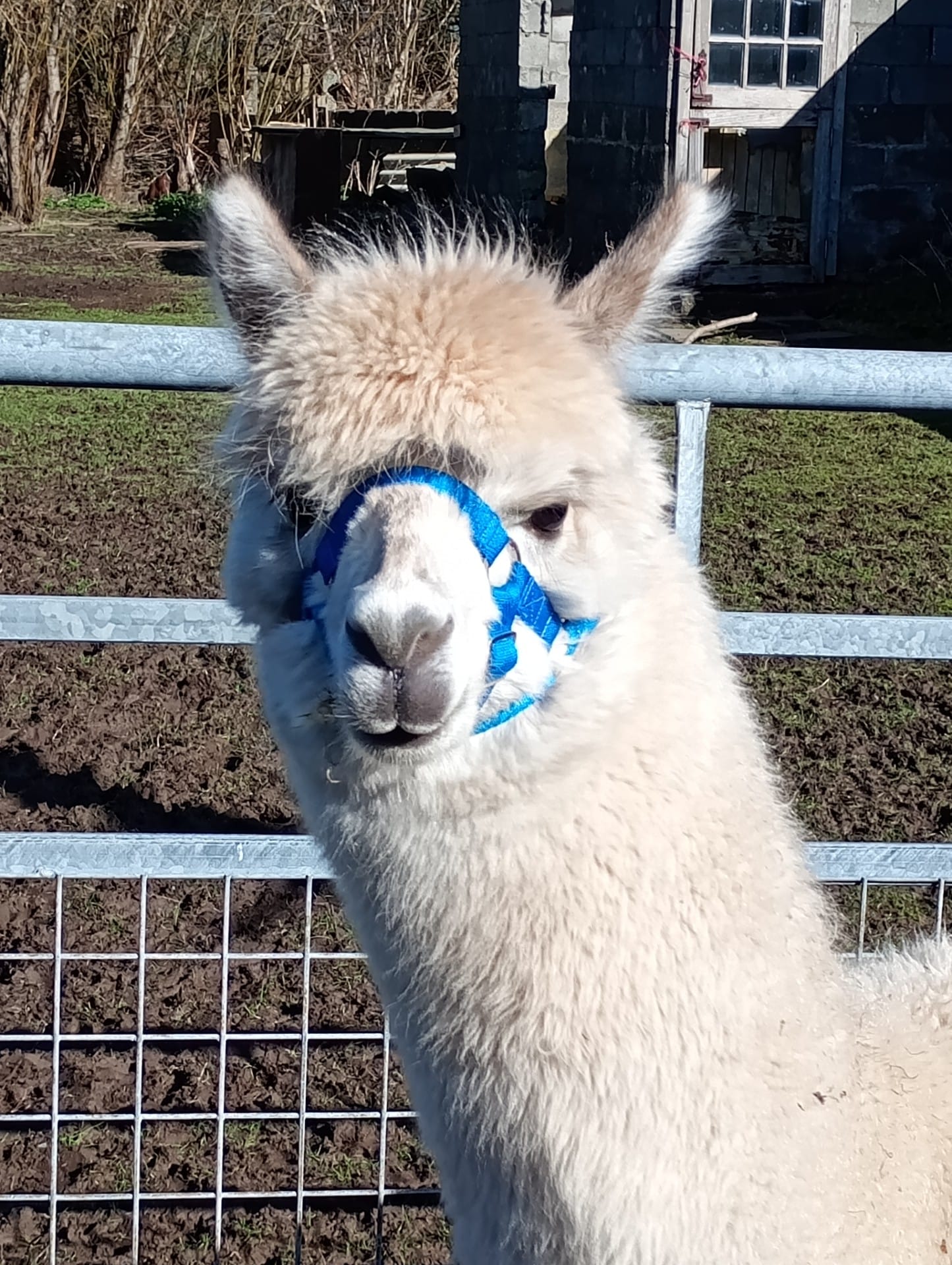 22750648-01fd-46ea-a154-6920c0229ec2