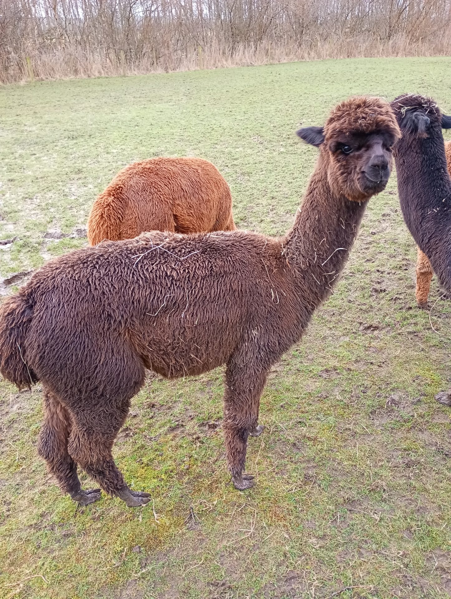 335739dd-06a3-435d-960d-b21038ae7f77