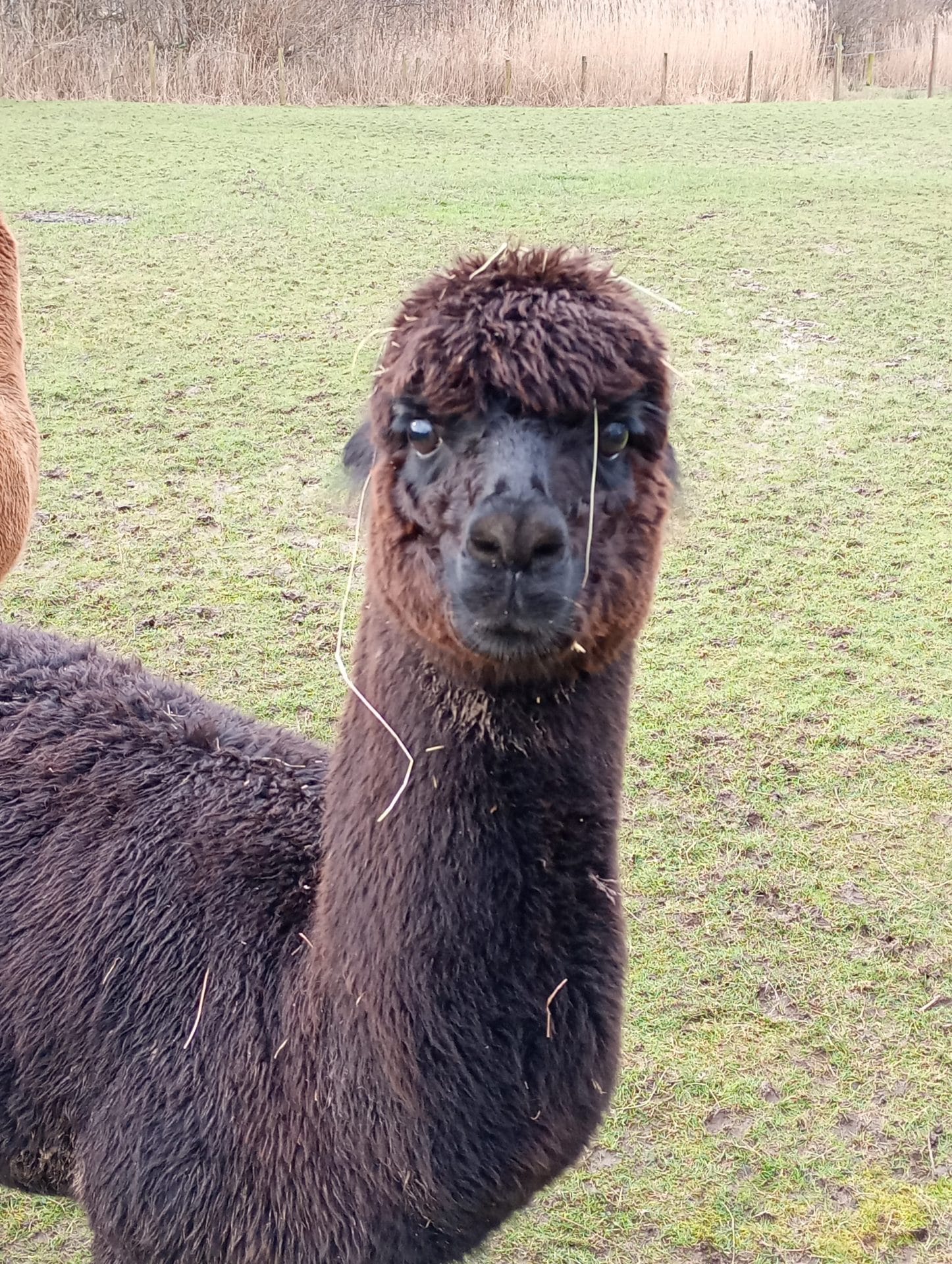 38b806b1-b6f8-404f-8e97-c1499f729f11