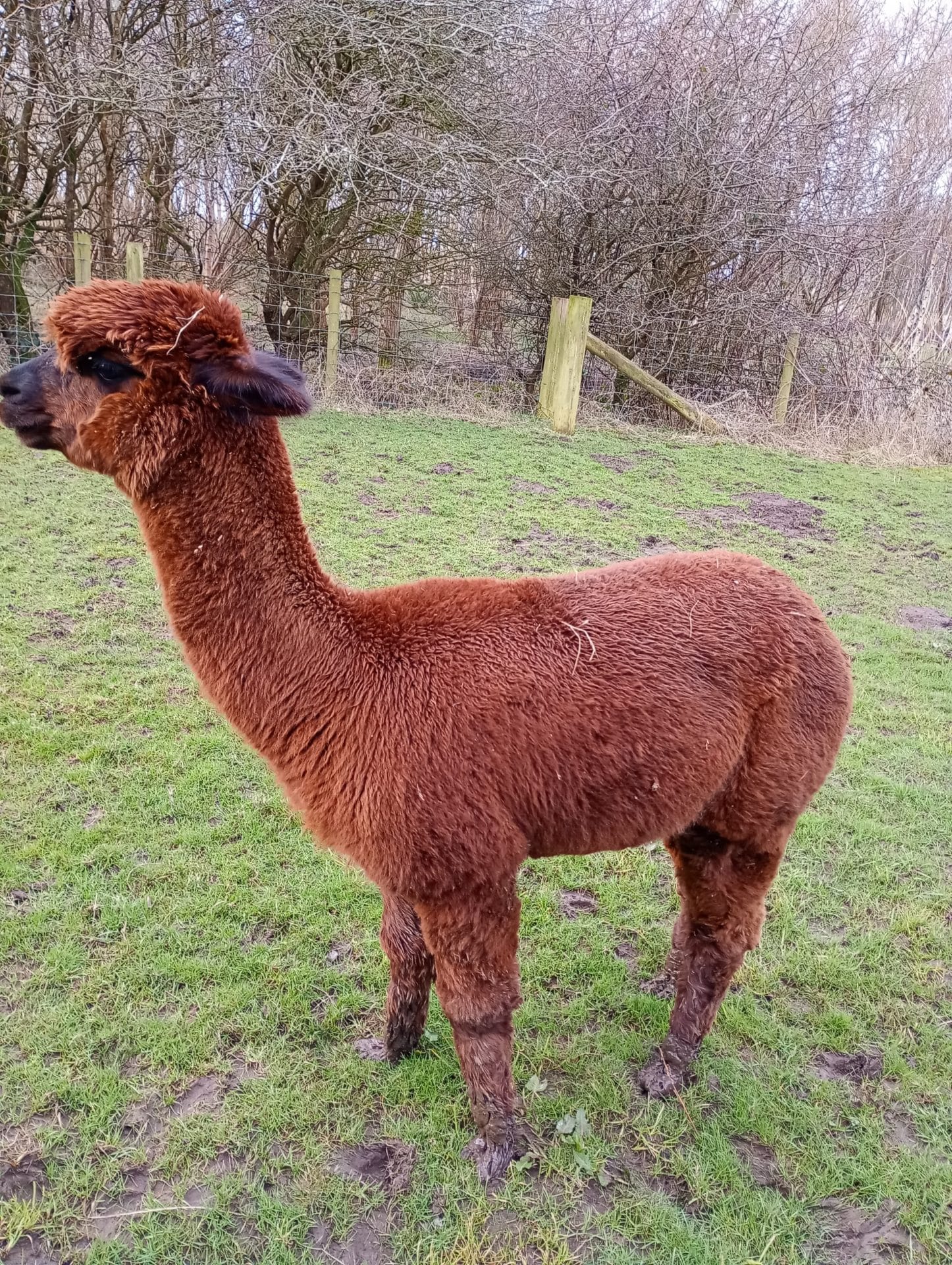 3c7538ea-e87b-4d1b-898d-6f6aa3f35927