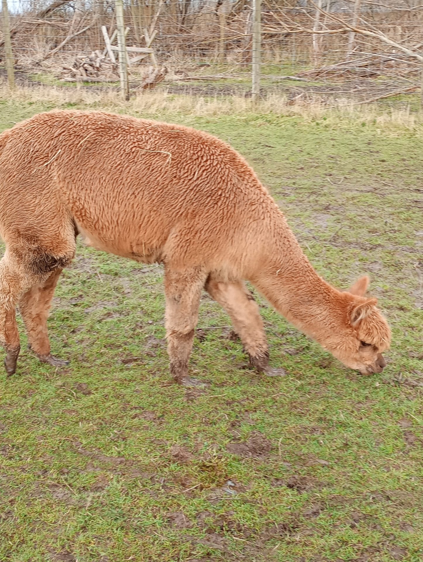 415b78d7-5bb4-4fb8-b25c-4aec345e028a