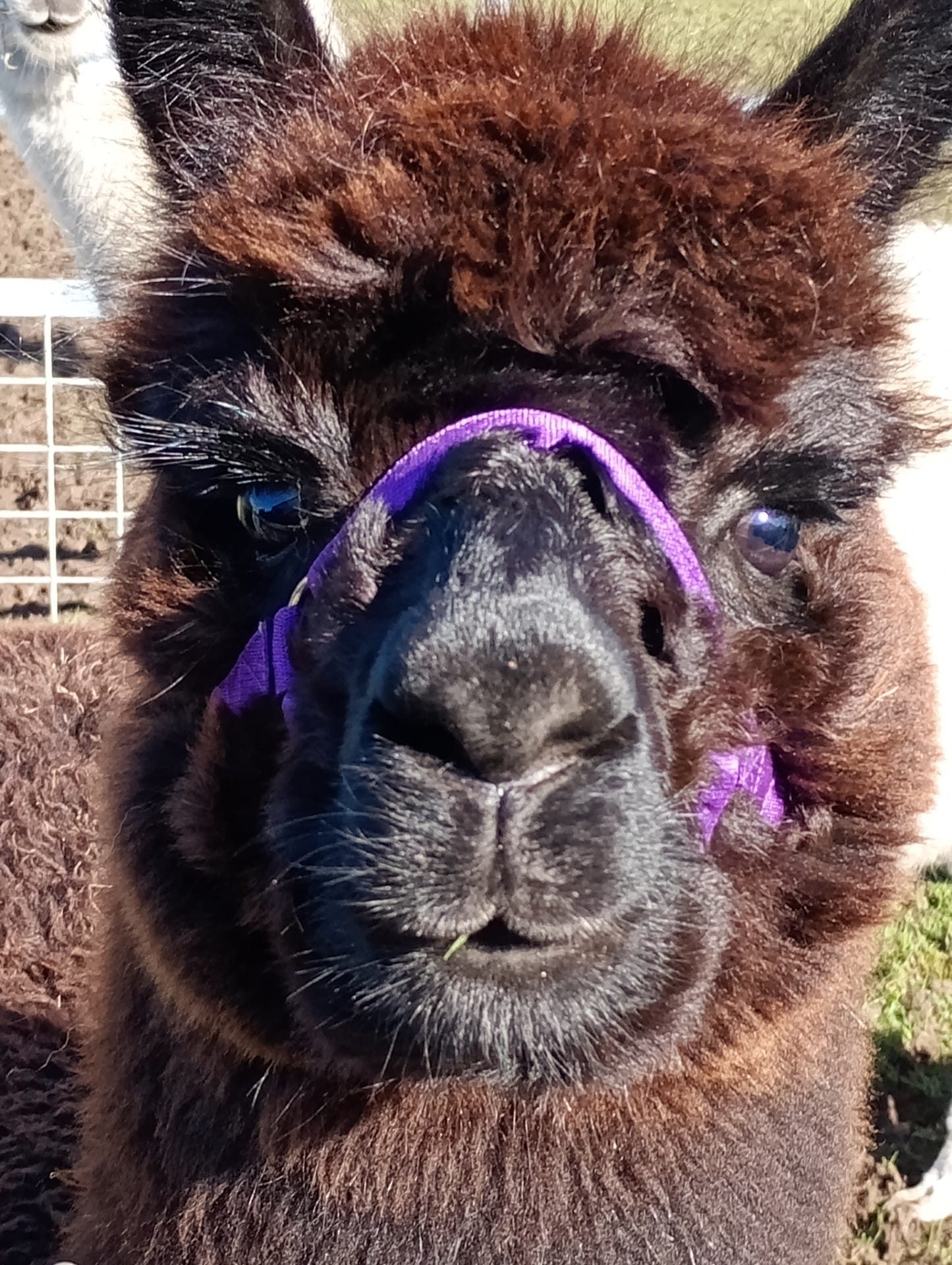 5d9d1737-95b9-451a-a3a8-0f7a7a48b449