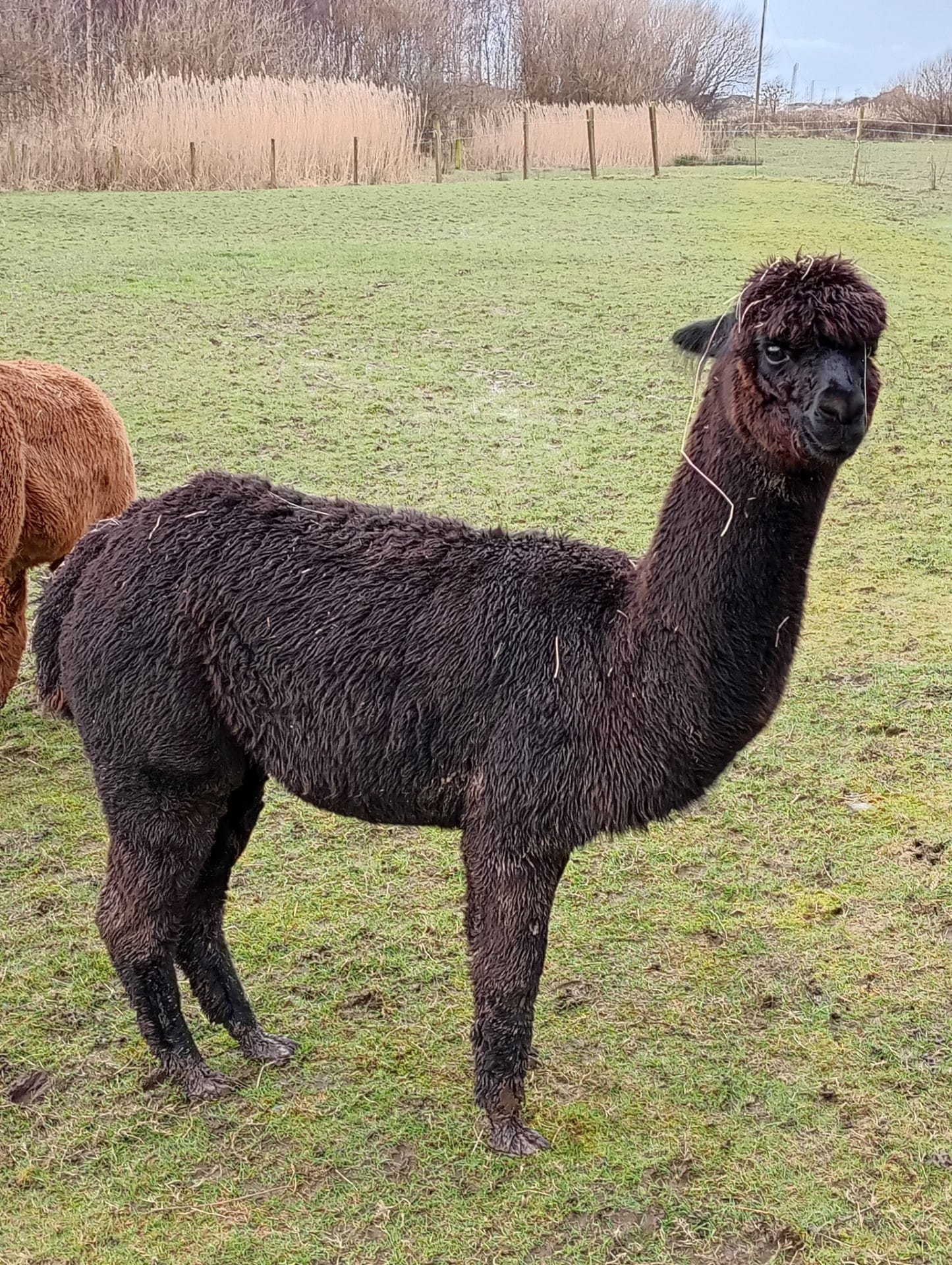 5ebd2e93-0e8d-4778-9231-ef7460795006