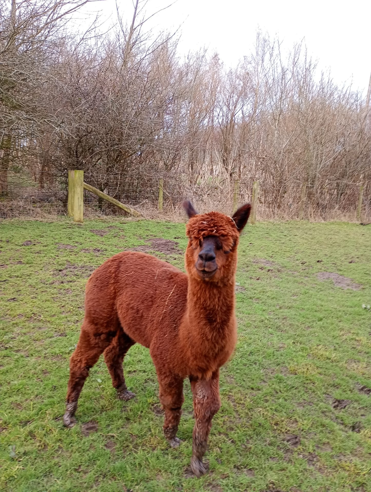 83428f3a-16d8-432b-b090-281fb65fb0b9