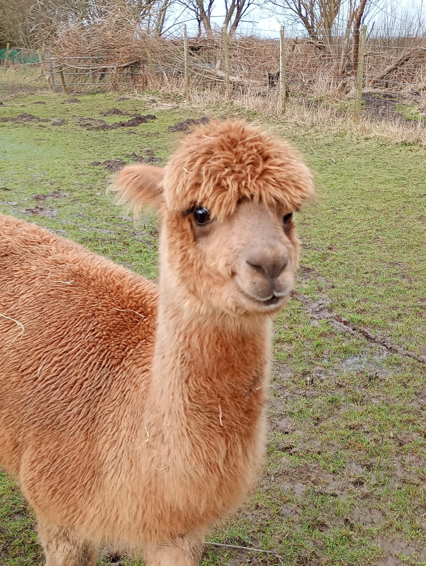 9c27a5d6-a0aa-4e4d-98a9-140832092864