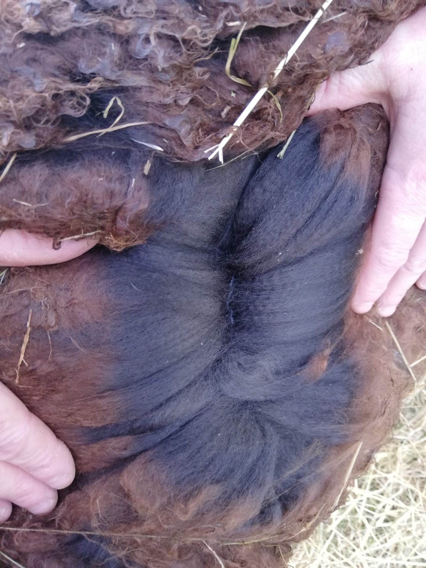 Adorable Jet inner fleece