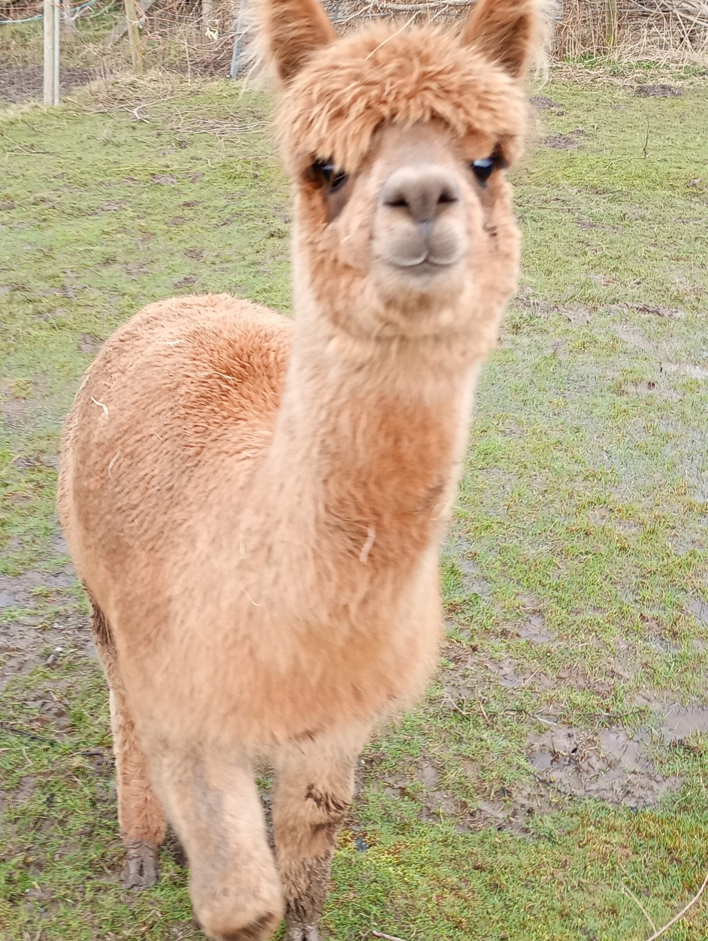 a4fc5ab9-ca24-4d85-87f0-da0295054619