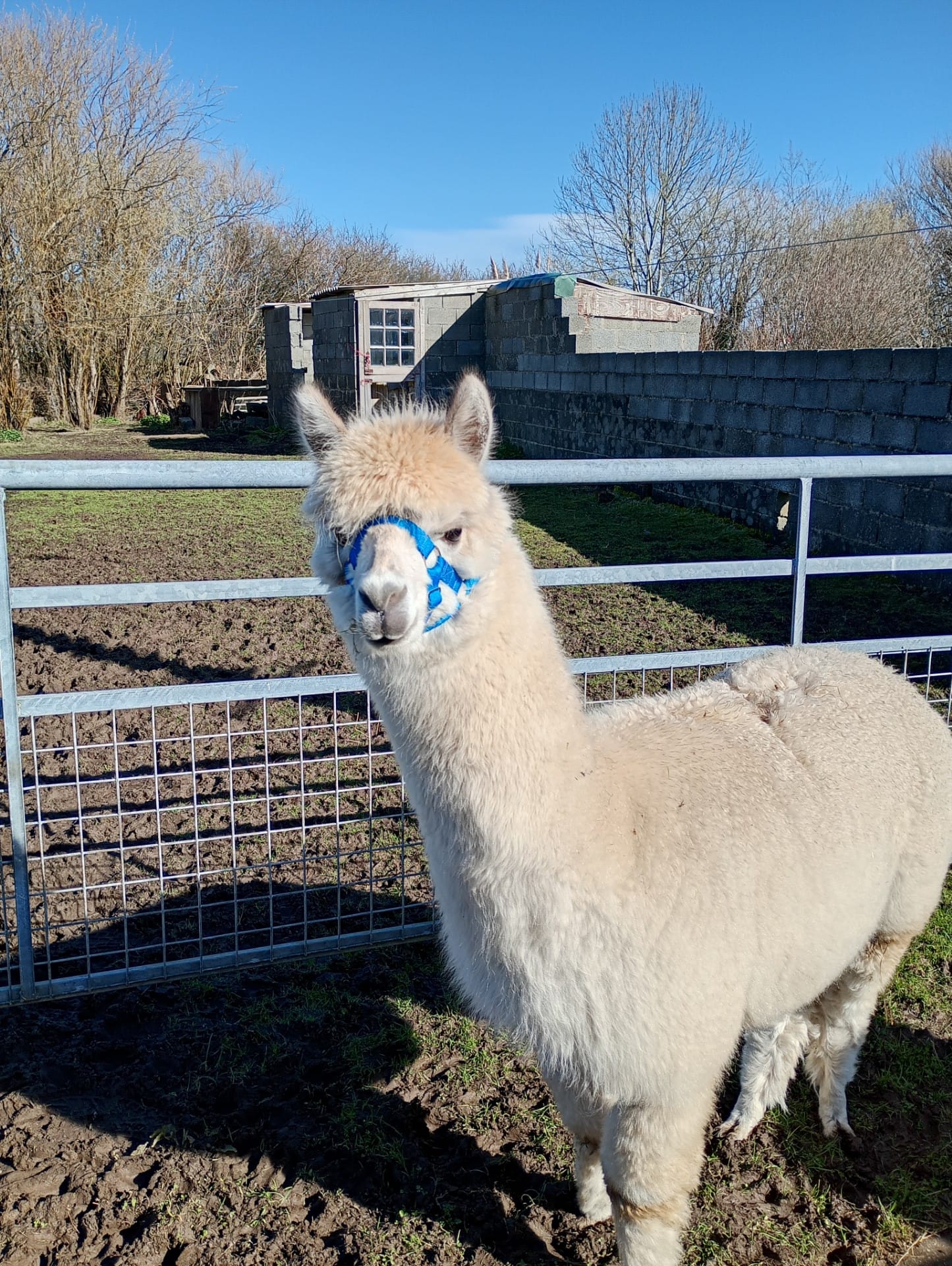 c08eb147-16d7-4111-b0e5-1b29de1891d4