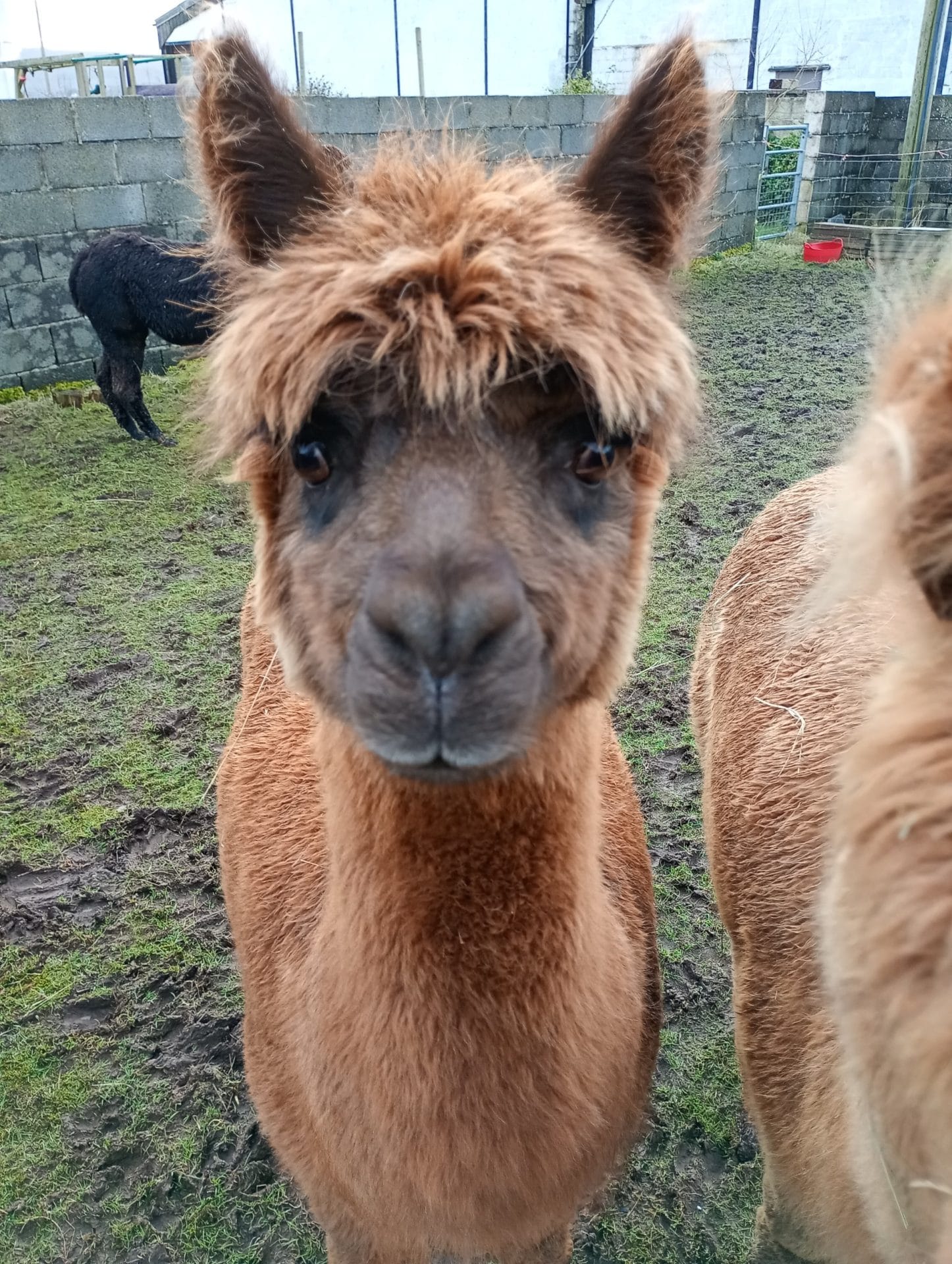 c9d57e7b-e125-4135-a301-9aed135da48d